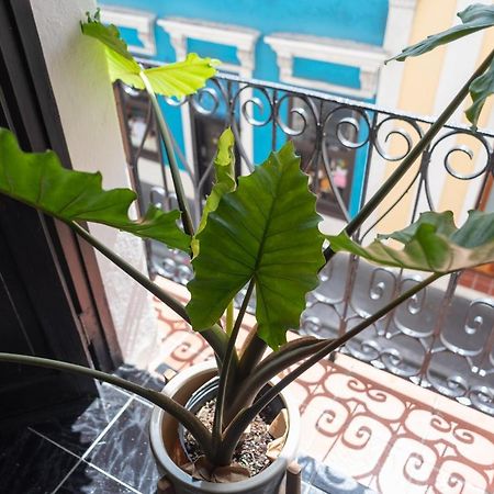 Fortel Hostel Σαν Χουάν Εξωτερικό φωτογραφία